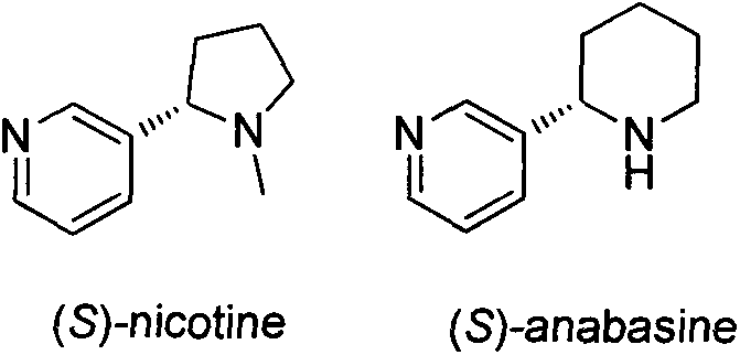 Asymmetric synthesis method for botanical pesticide nicotine and anabasine