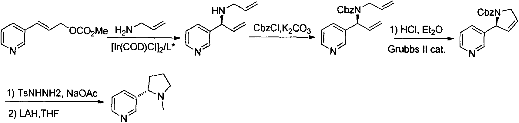 Asymmetric synthesis method for botanical pesticide nicotine and anabasine