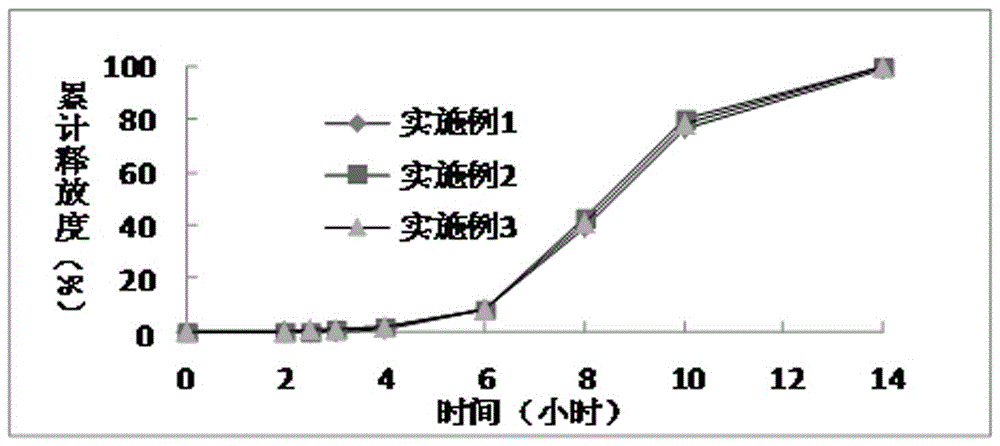 A kind of dimethyl fumarate enteric-coated pellets and preparation method thereof