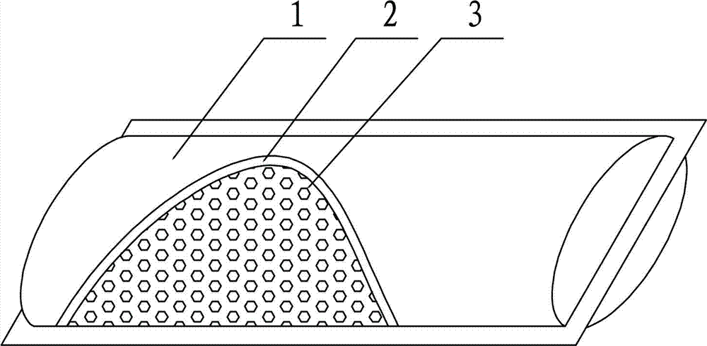 Negative oxygen ion silk pillow