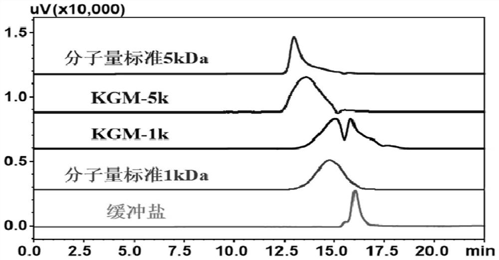 Application of konjac polysaccharide degradation products kgm-1k and kgm-5k in the preparation of probiotic protective agent