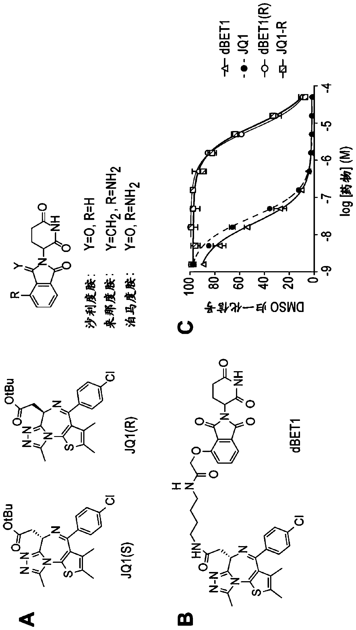 Method for inducing target protein degradation by bifunctional molecules