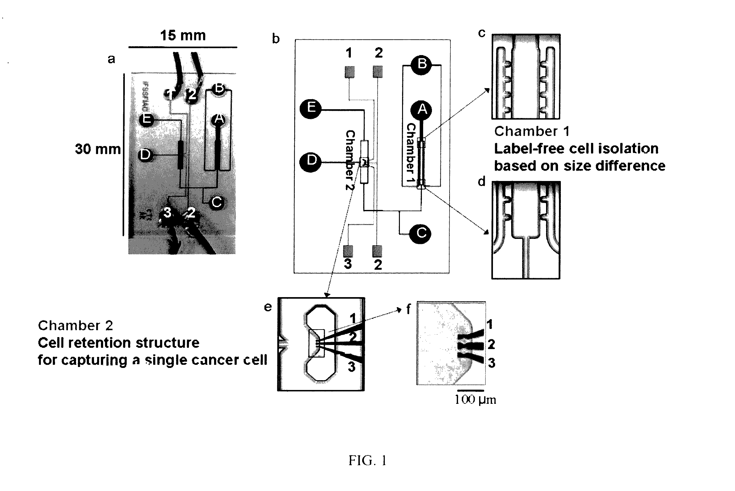 Apparatus and Methods for Single-Particle Isolation and Single-Particle Measurement