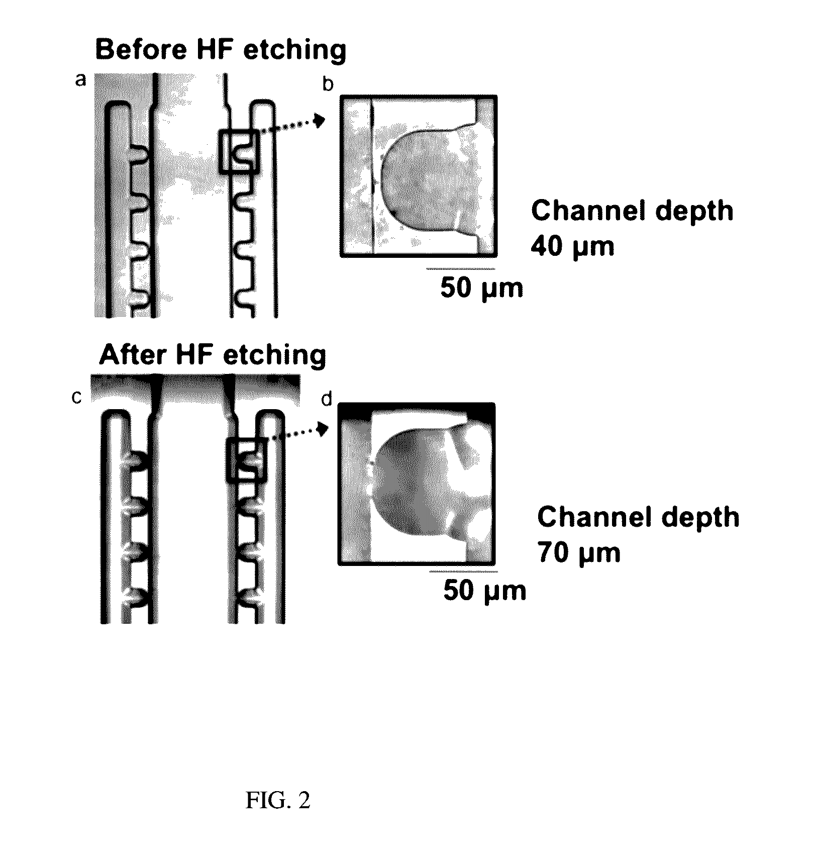 Apparatus and Methods for Single-Particle Isolation and Single-Particle Measurement