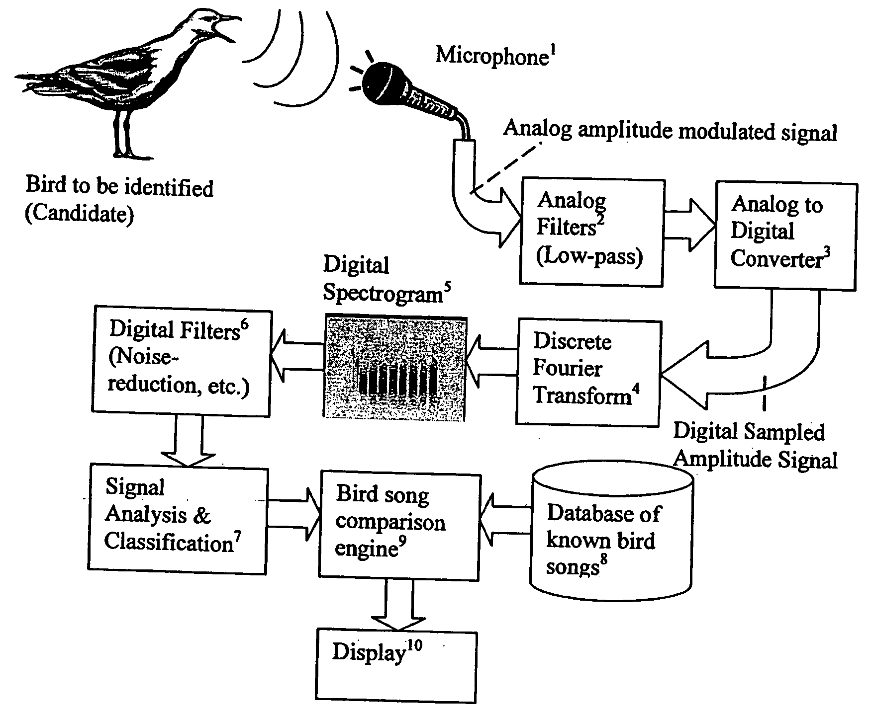 Method and apparatus for automatically identifying animal species from their vocalizations