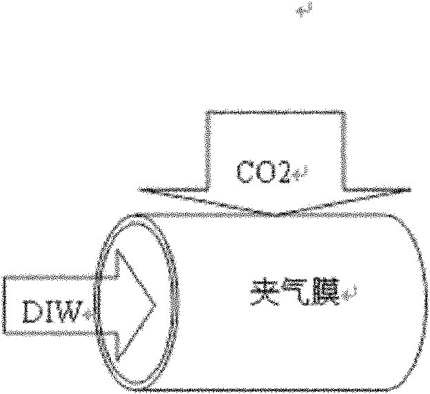 Method and device for preparing carbon dioxide ionized water