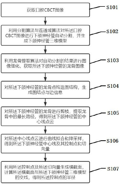 Method for extracting central line of mandibular neural tube and calculating radius of mandibular neural tube