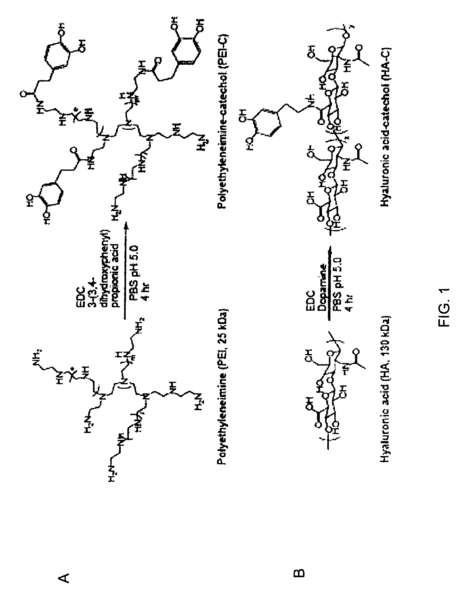 Substrate-independent layer-by-layer assembly using catechol-functionalized polymers