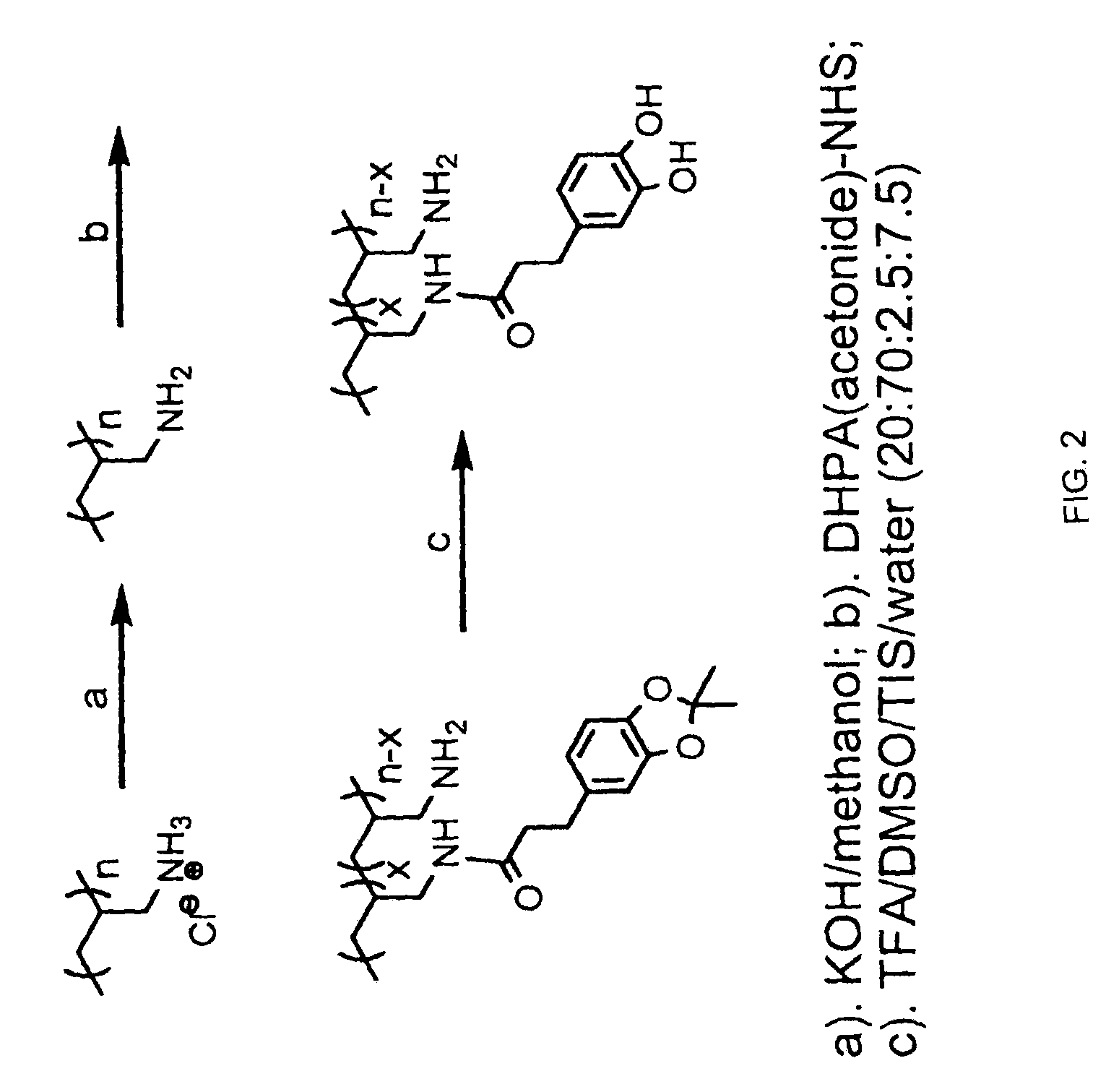 Substrate-independent layer-by-layer assembly using catechol-functionalized polymers