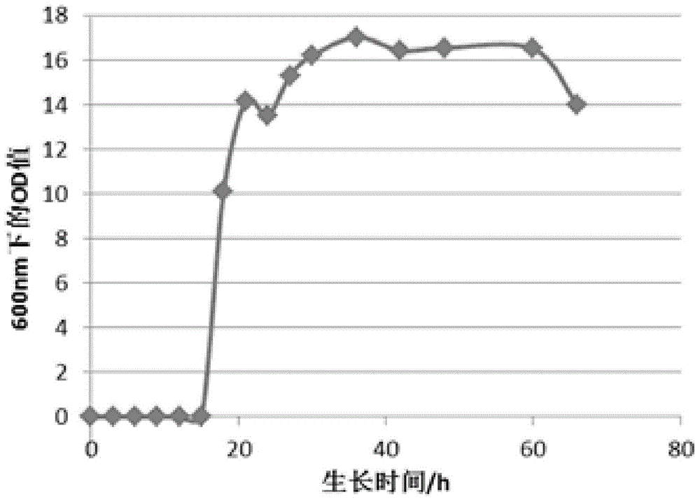 A kind of compound probiotics and preparation method thereof