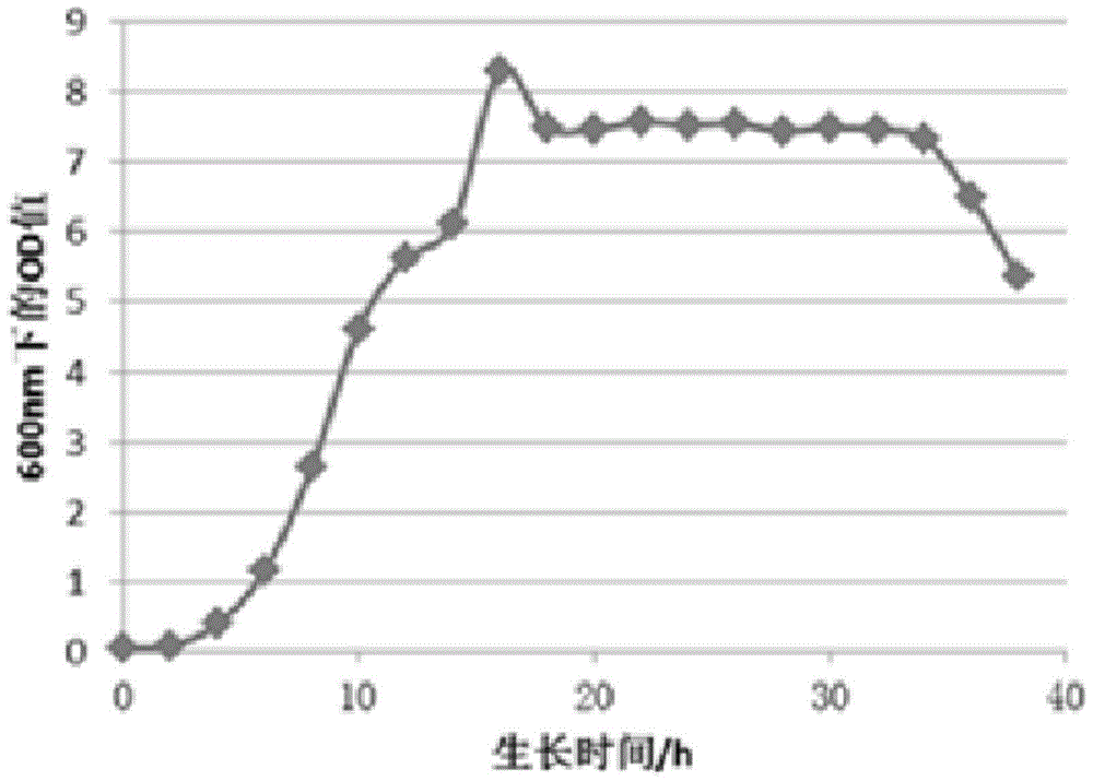 A kind of compound probiotics and preparation method thereof