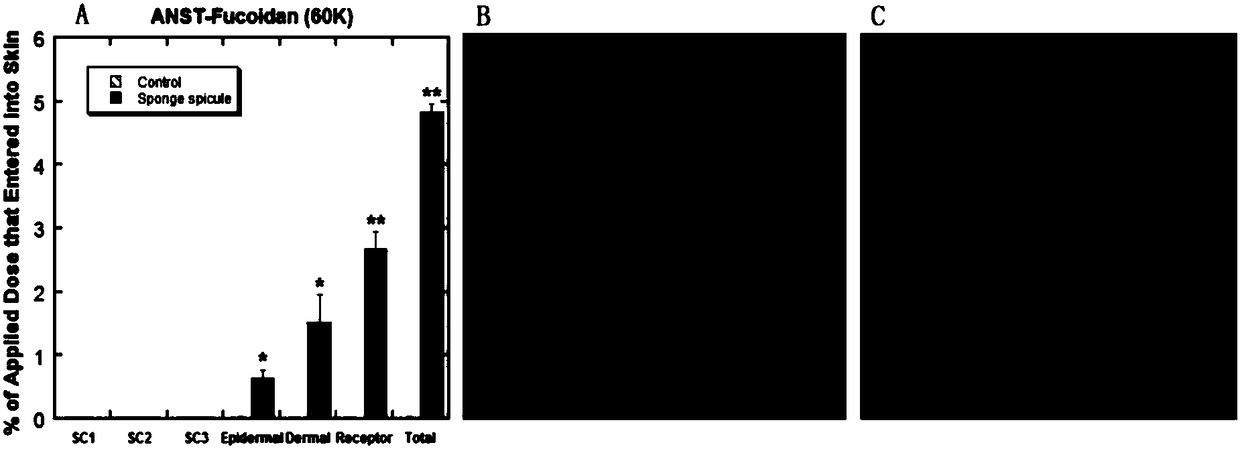 Transdermal absorption composition and application of same to preparation of transdermal absorption preparation