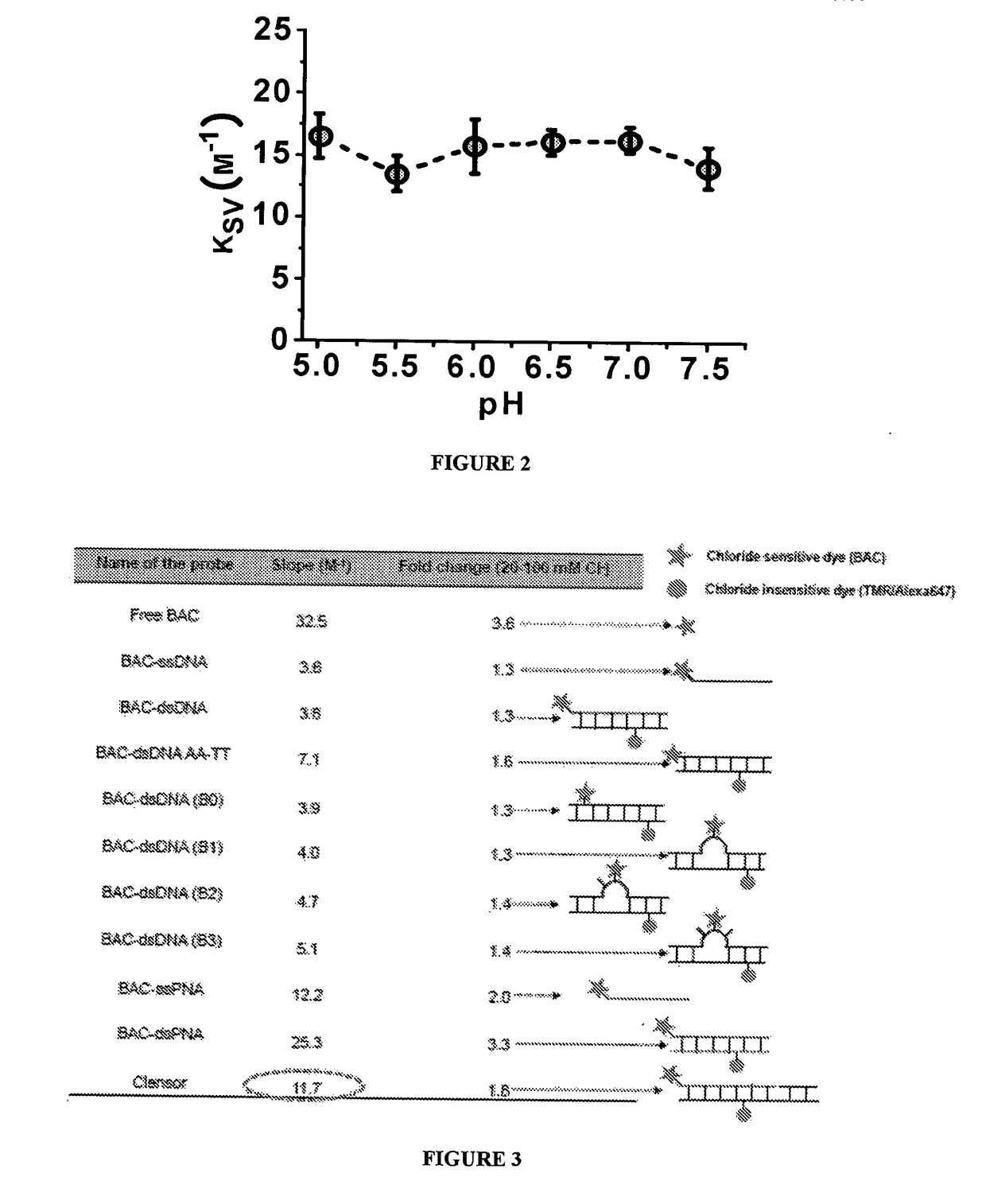 Nucleic Acid Based Sensor and Methods Thereof