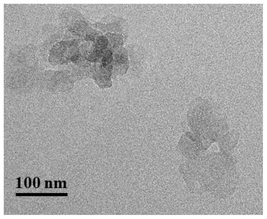 A kind of layered double hydroxide nano drug-loaded complex and its preparation and application
