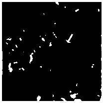 Method for preparing water-soluble nano-selenium microsphere based on L.casei 393