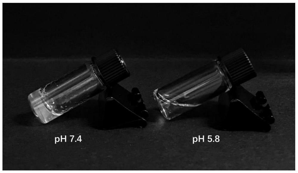 PH-response drug-loaded self-assembly aquagel-formed polypeptide, preparation method and use