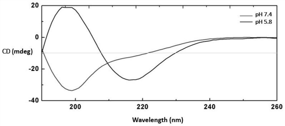 PH-response drug-loaded self-assembly aquagel-formed polypeptide, preparation method and use