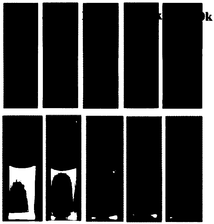 Graphene quantum dot and preparation method thereof