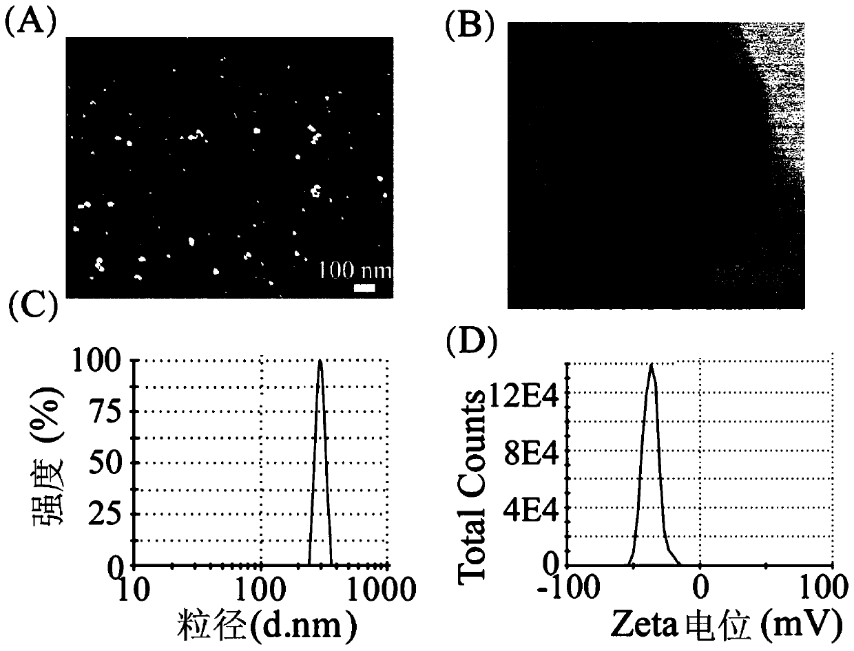 Magnetic prussian blue material, preparation thereof, and applications of magnetic prussian blue material in adsorption of cesium ions