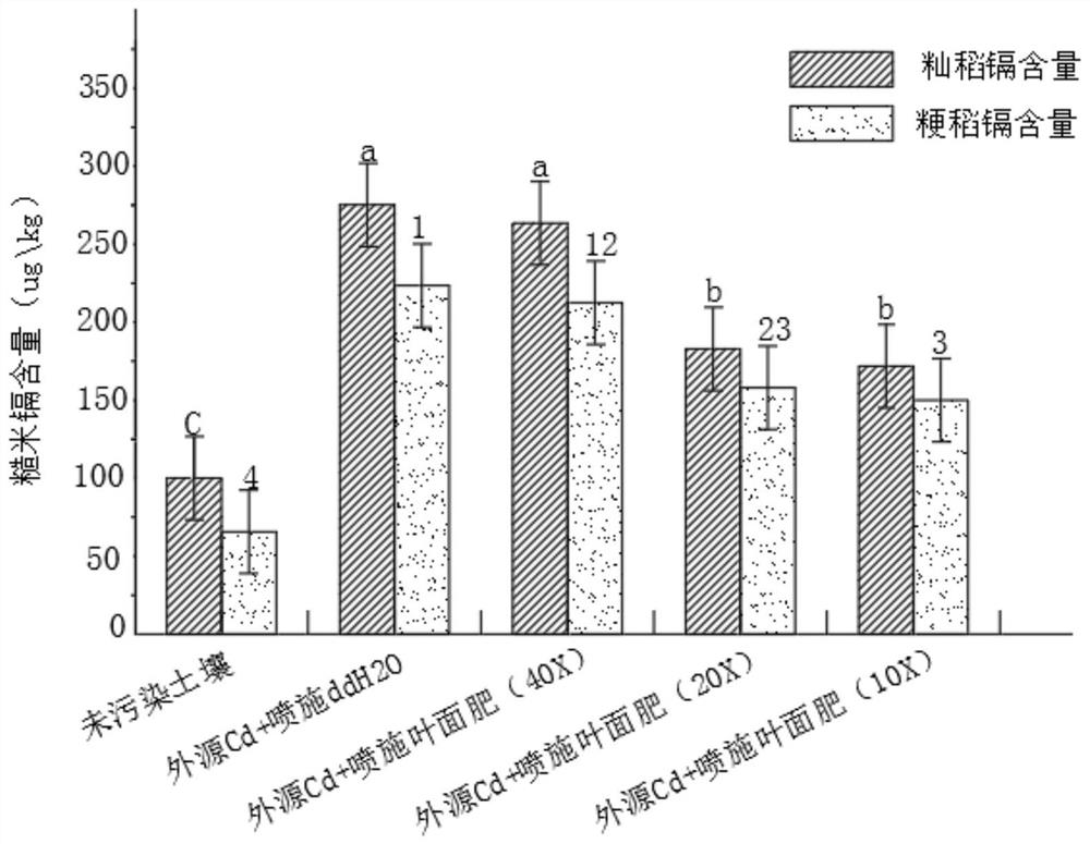 Synthesis of leaf surface blocking agent for efficiently reducing cadmium accumulation of indica rice and japonica rice and application method thereof