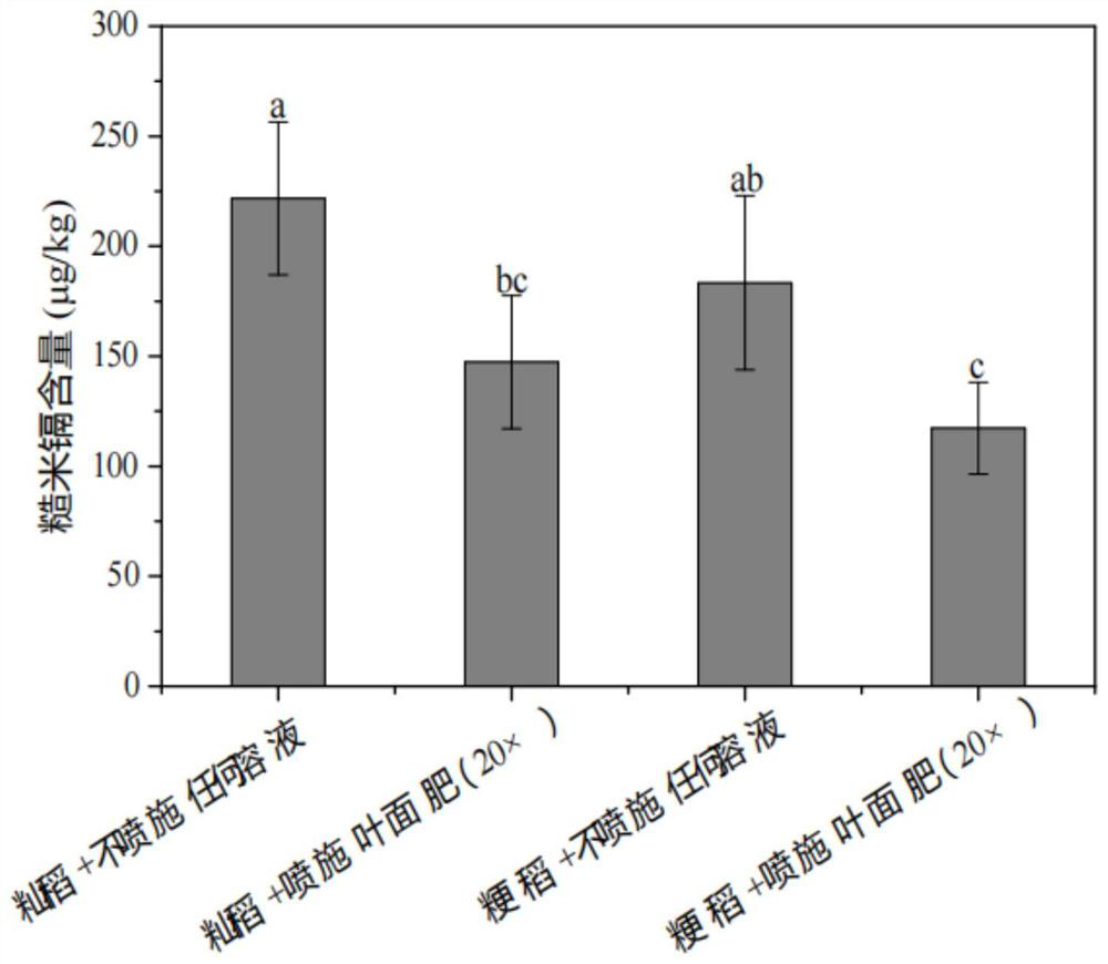 Synthesis of leaf surface blocking agent for efficiently reducing cadmium accumulation of indica rice and japonica rice and application method thereof