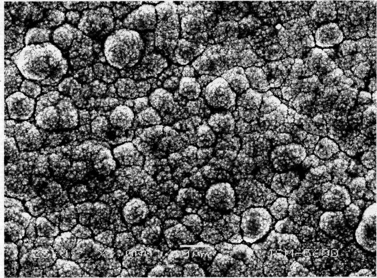 Method for electroplating nickel on surface of magnesium alloy