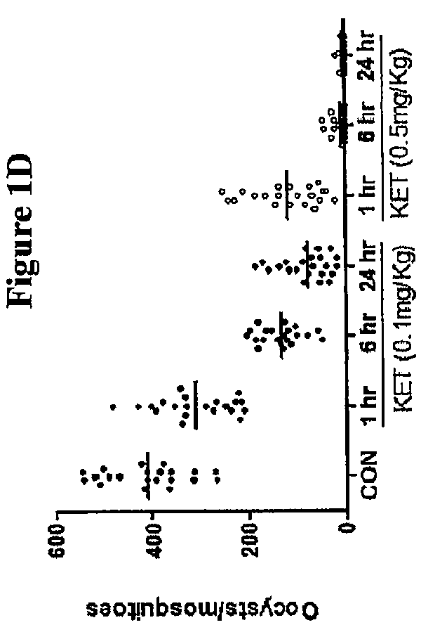 Compounds that treat malaria and prevent malaria transmission