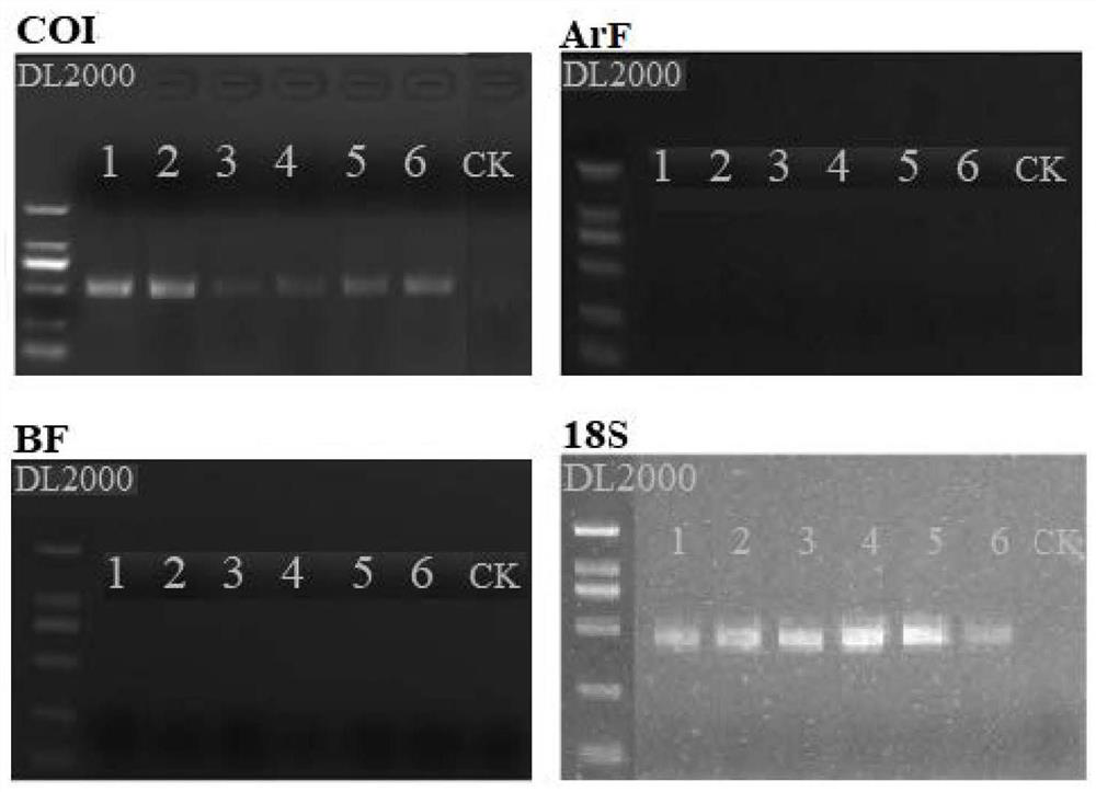 Environmental DNA macro bar code method for researching macrobenthic animal community structure