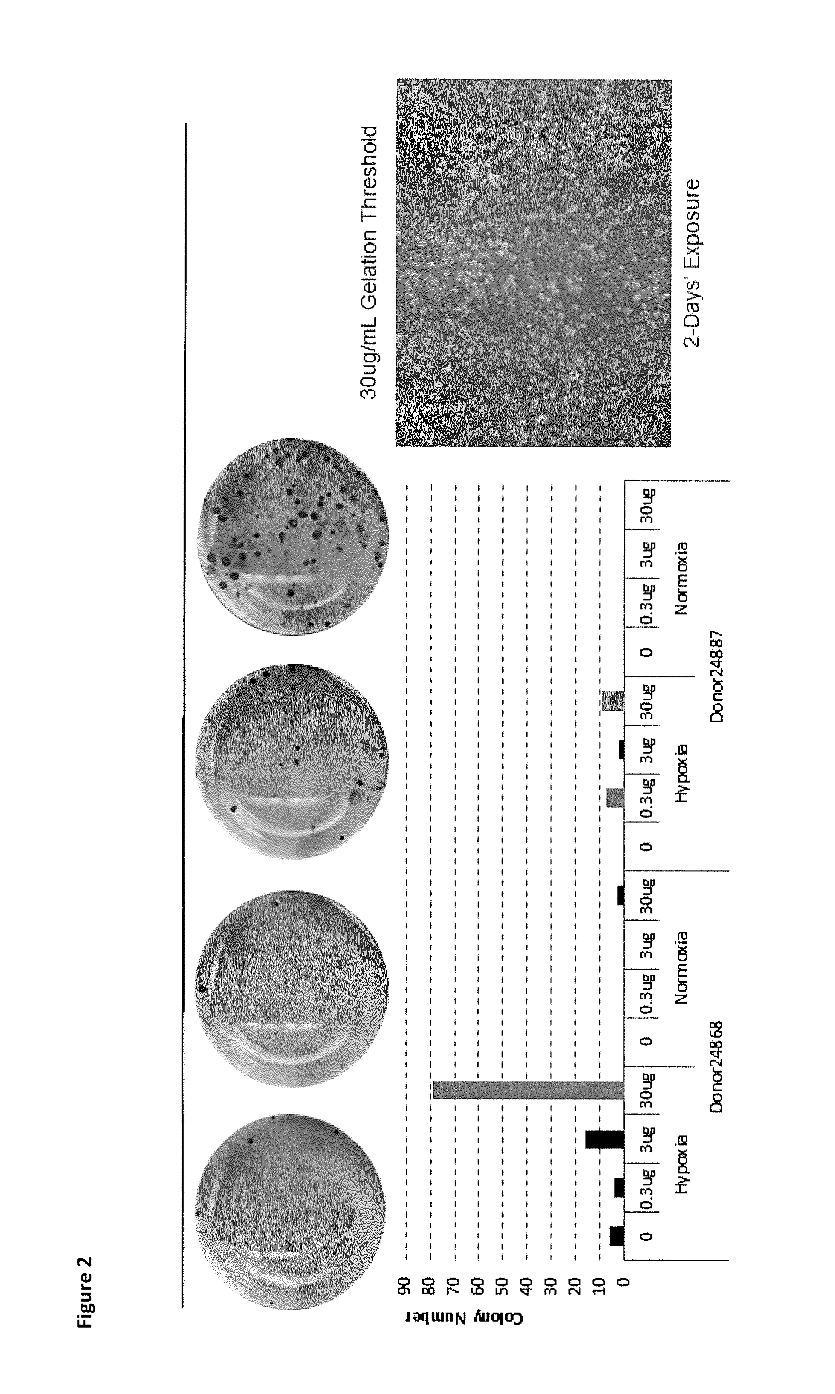 Methods for nuclear reprogramming of cells