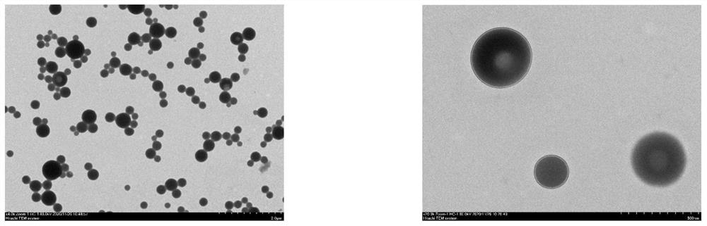 A kind of preparation method of double-loaded pesticide nano-microcapsule suspension