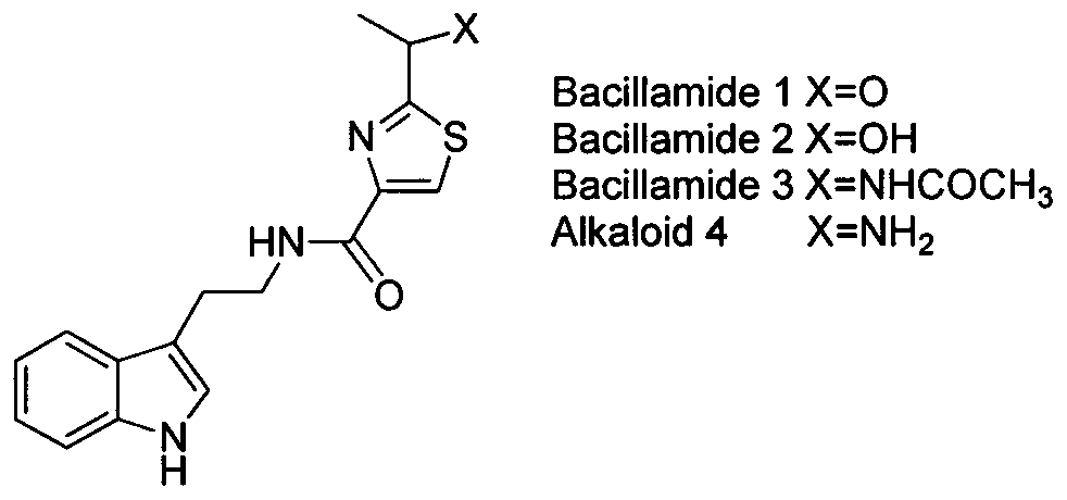 2-(1-ethoxyl).2-acetylthiazole-4-formamide compounds and application