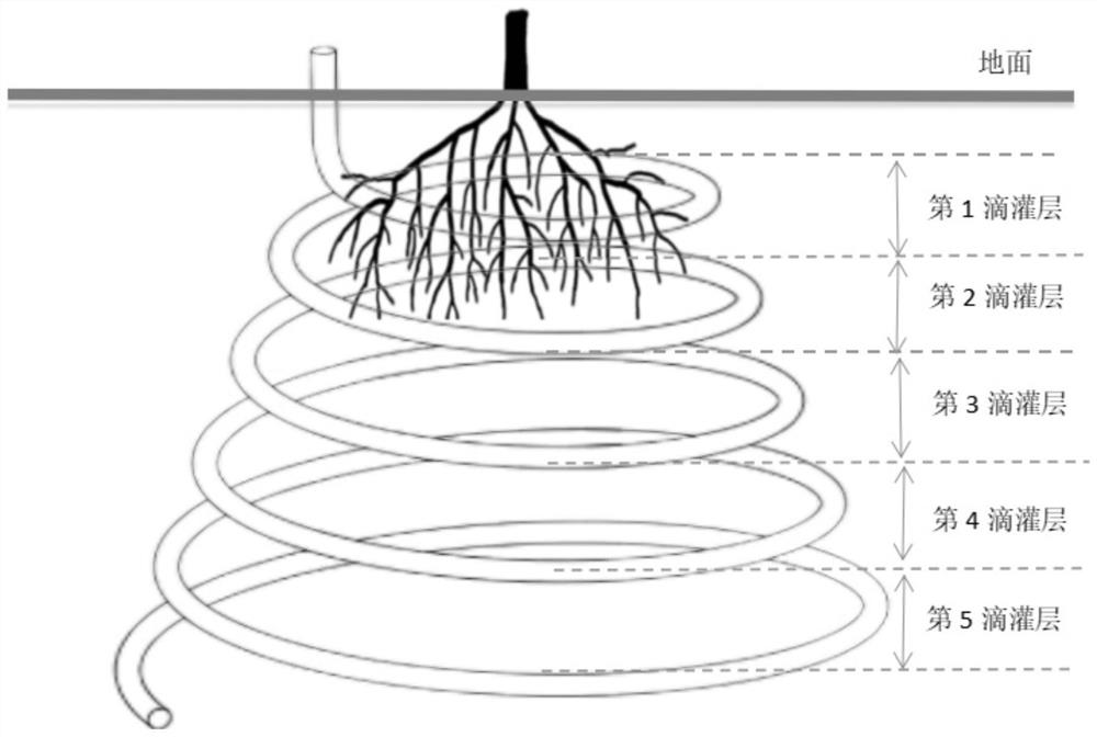 Irrigation method for inducing downward growth of root system based on wet point duration deviation