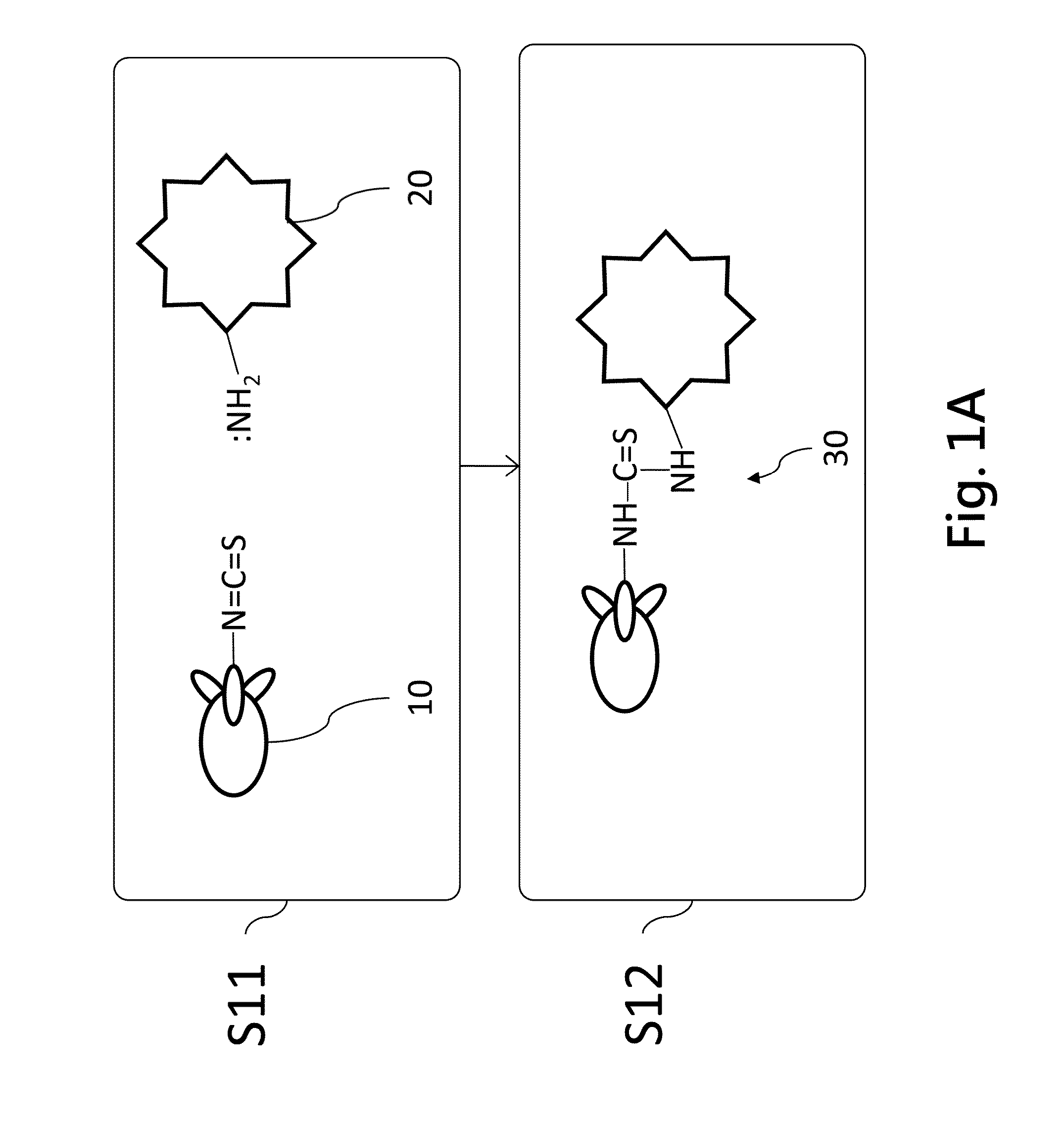Molecule immobilization method and its system