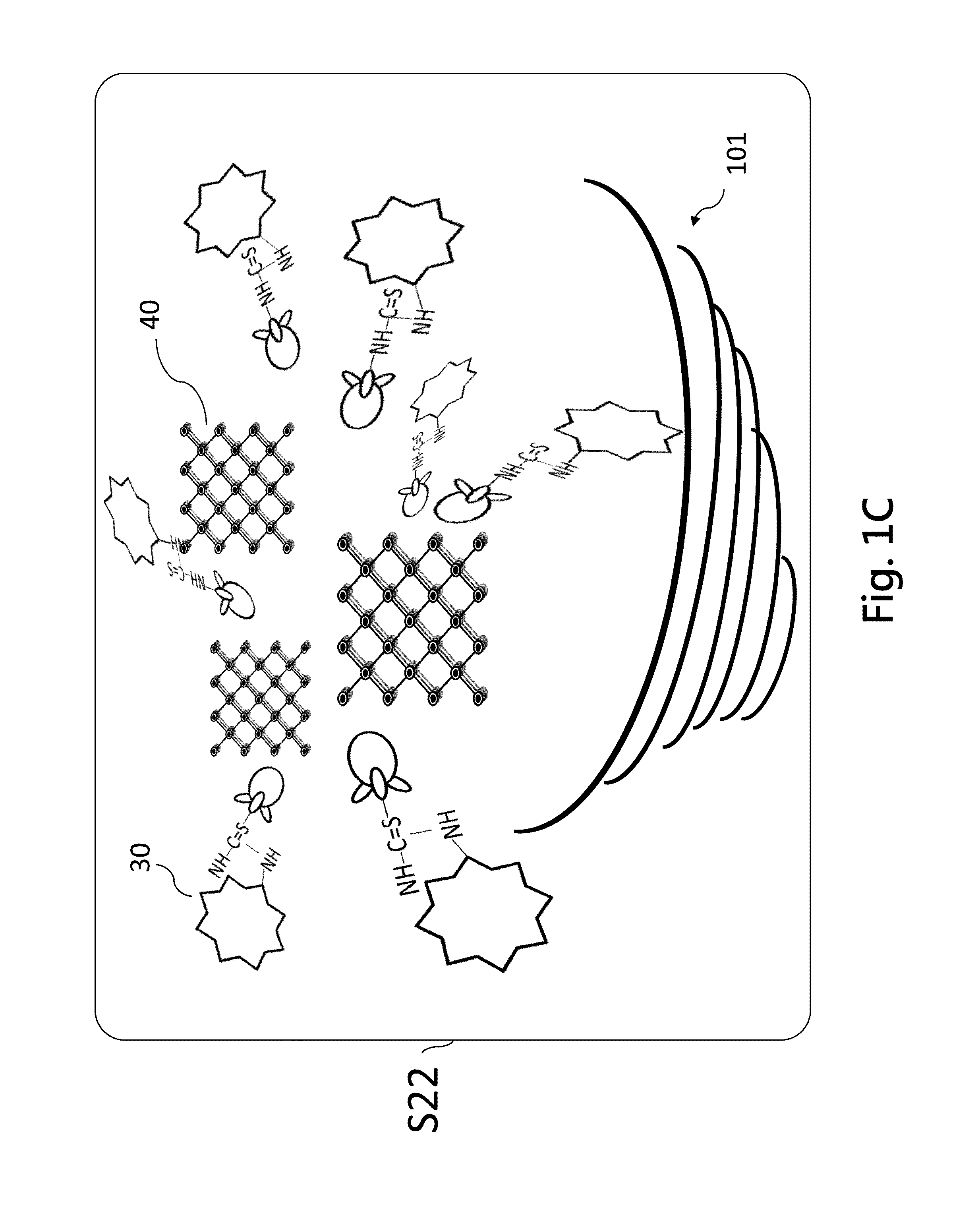 Molecule immobilization method and its system