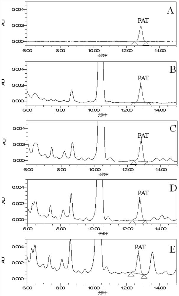 Graphitized carbon SPE column-based rapid detection method for patulin in apple juice