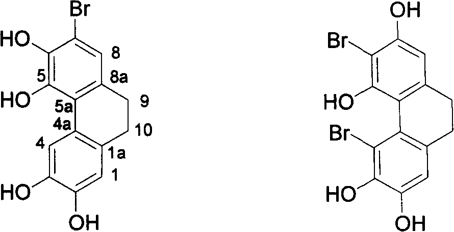 Polysiphonia urceolata bromophenol compound as well as preparation method and application thereof