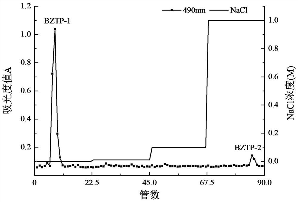 Atractylodes polysaccharide anti-alcoholic liver injury and its preparation method and application