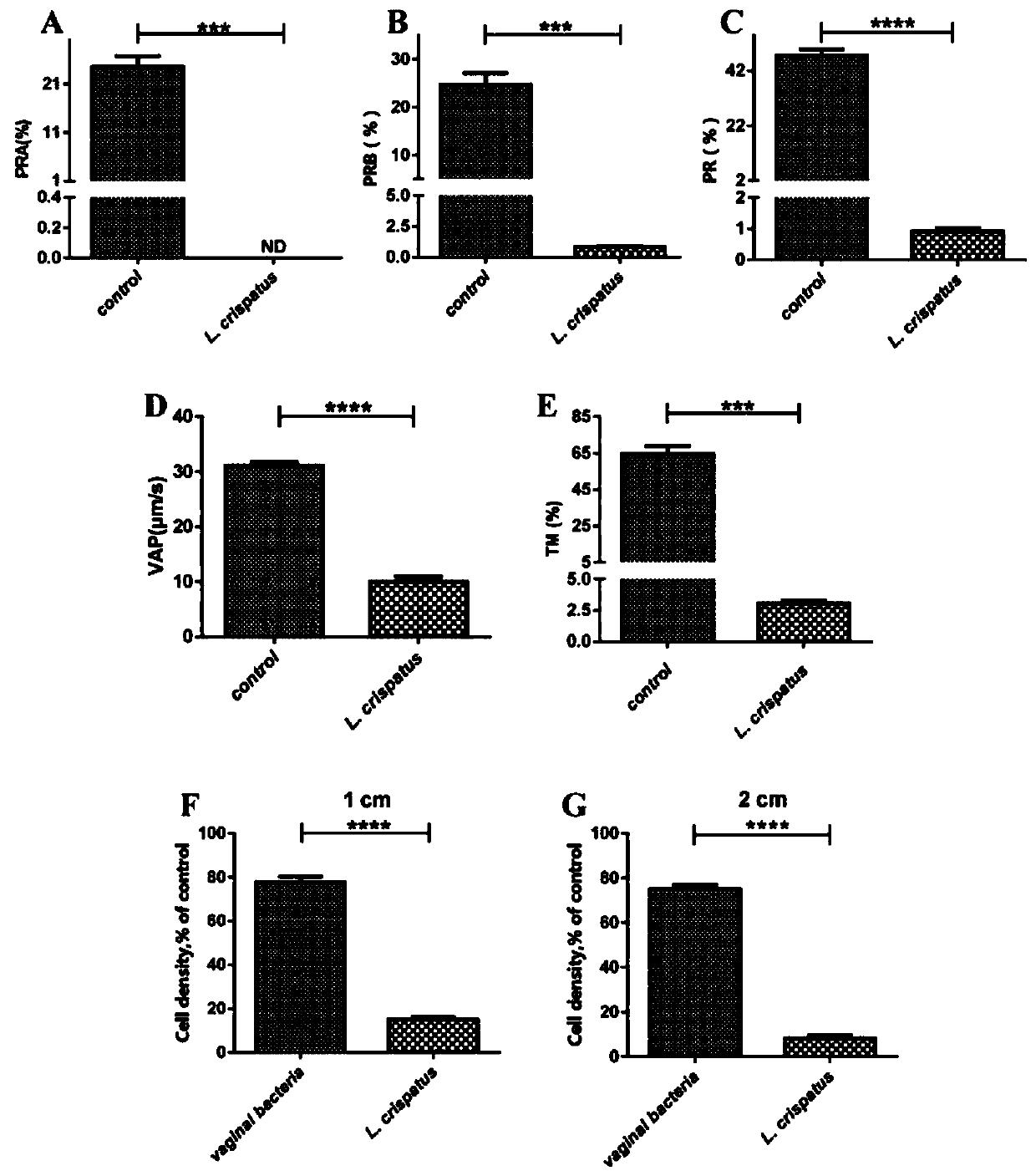 Application of Lactobacillus crispatus to preparation of female contraceptives