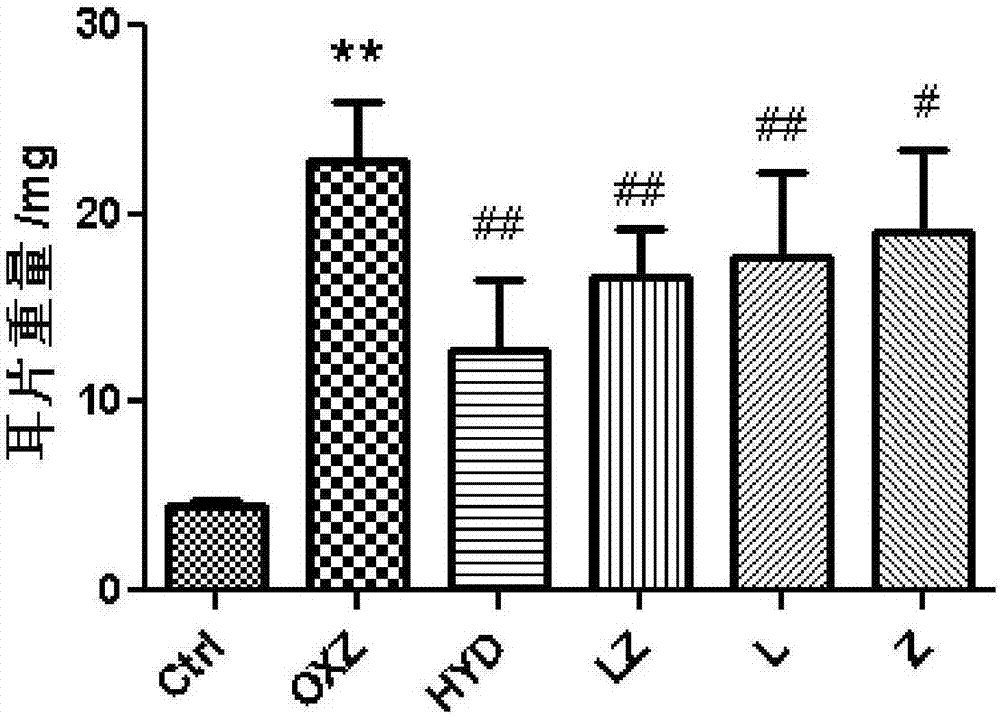 Traditional Chinese medicinal composition for treating allergic dermatitis and preparation method thereof