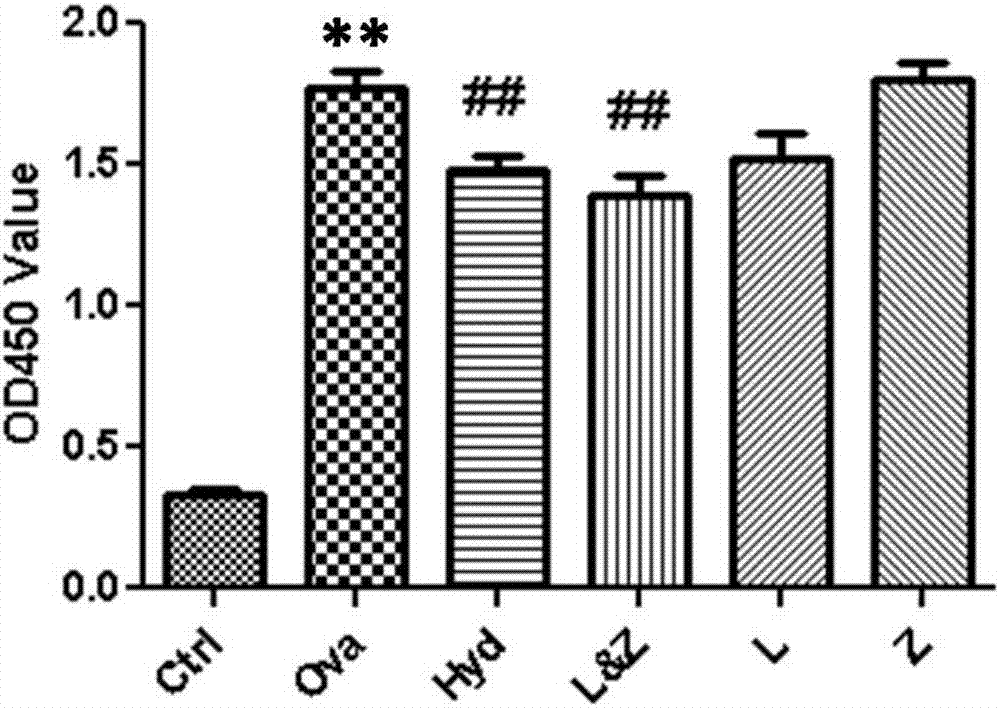 Traditional Chinese medicinal composition for treating allergic dermatitis and preparation method thereof