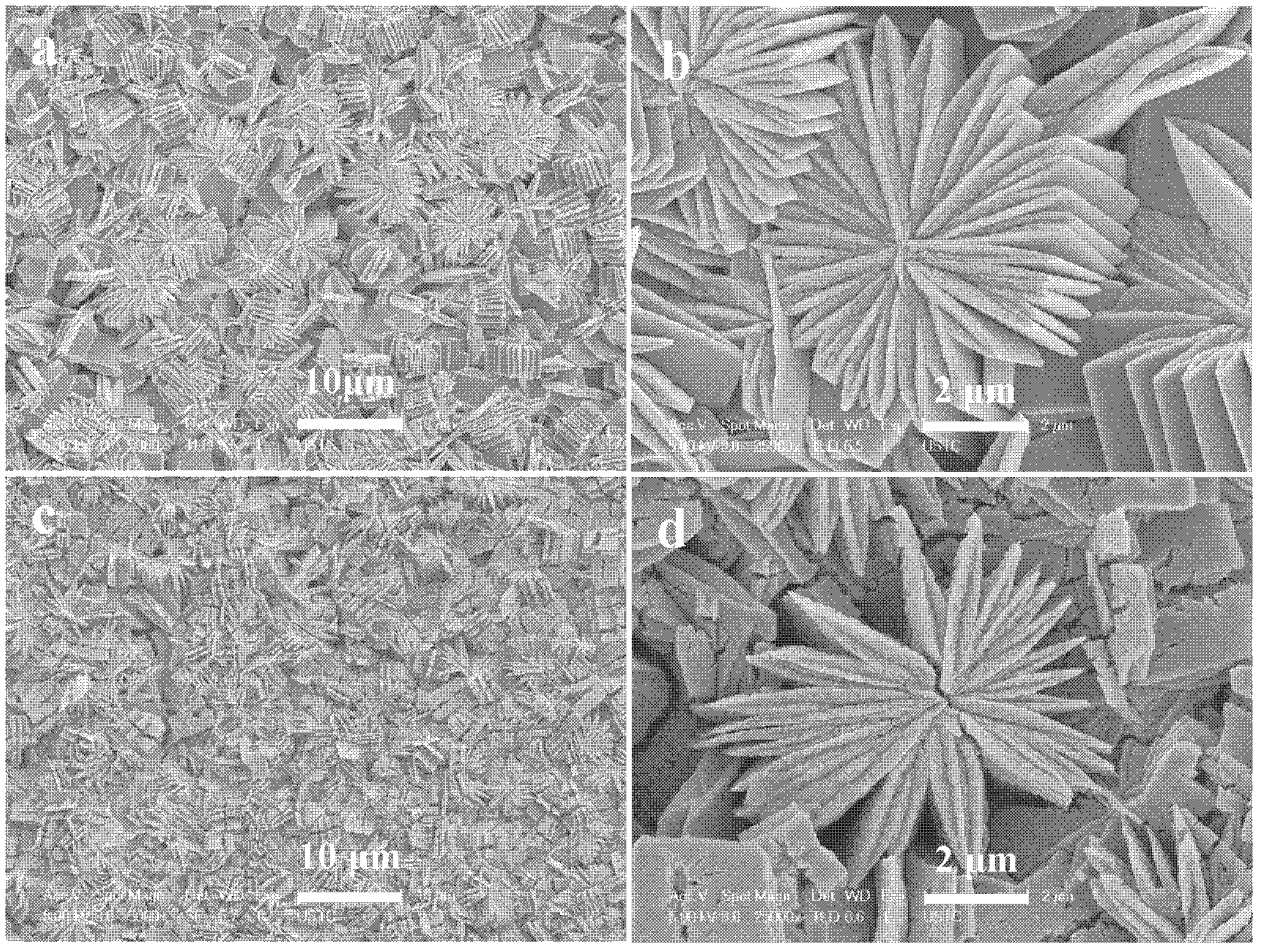 Method for preparing electrode material CuO (cupric oxide) film of lithium ion battery on copper substrate