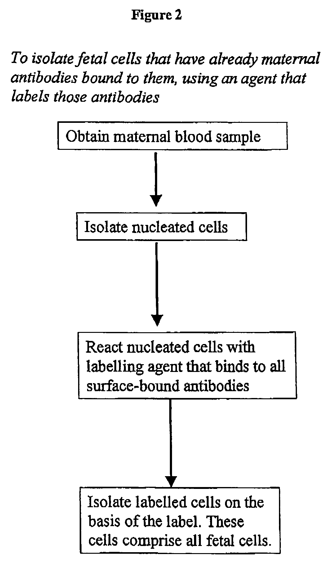 Maternal antibodies as fetal cell markers to identify and enrich fetal cells from maternal blood