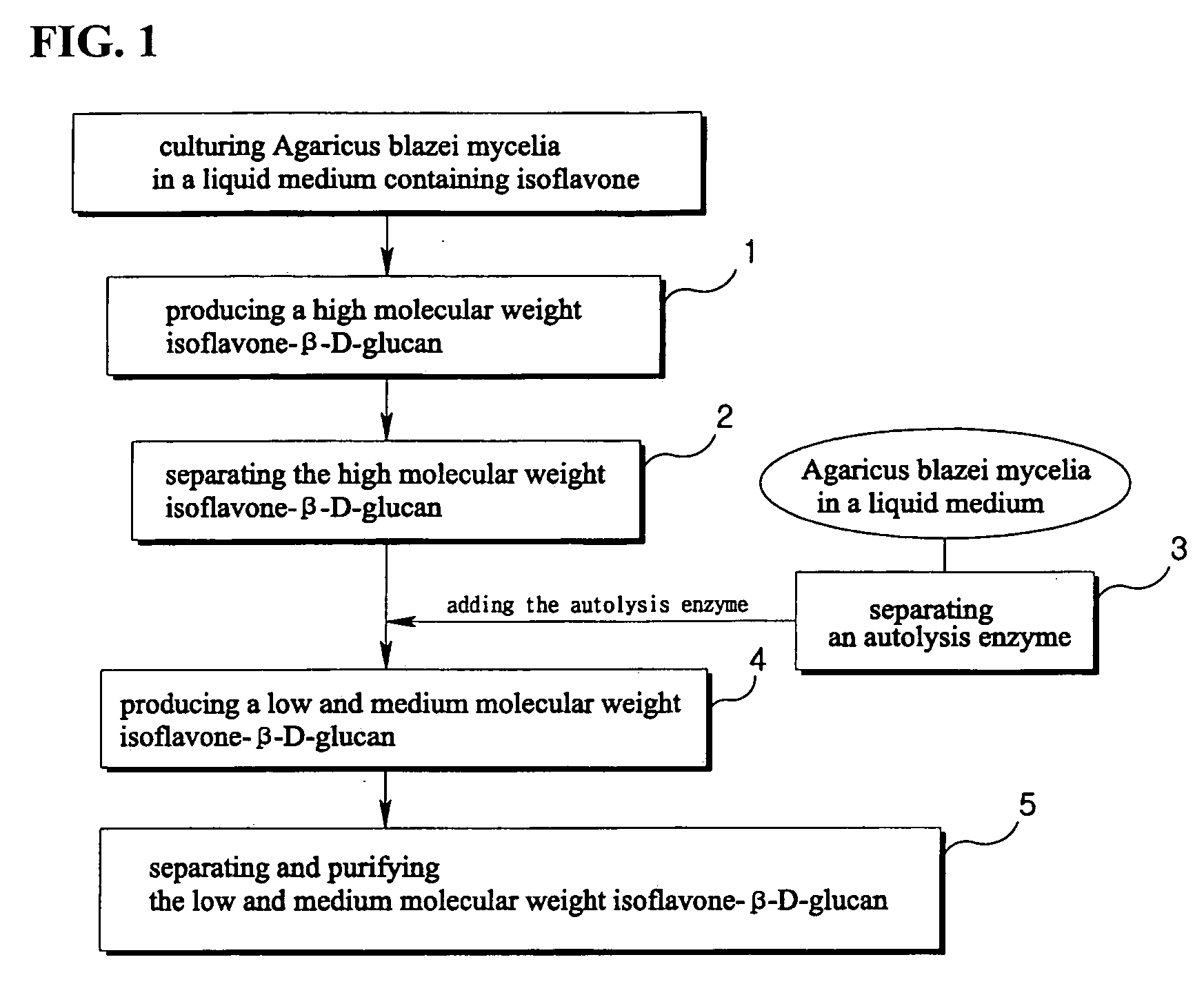 Isoflavone-beta-D-glucan produced by Agaricus blazei in the submerged liquid culture and method of producing same