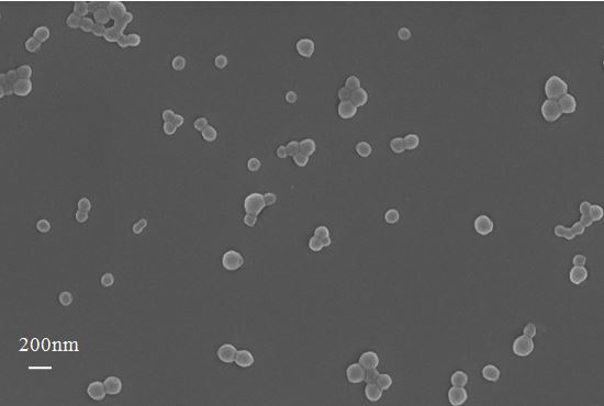 A preparation method of a dqa-encapsulated mesoporous silica-carried small-molecule drug targeting mitochondrial carrier