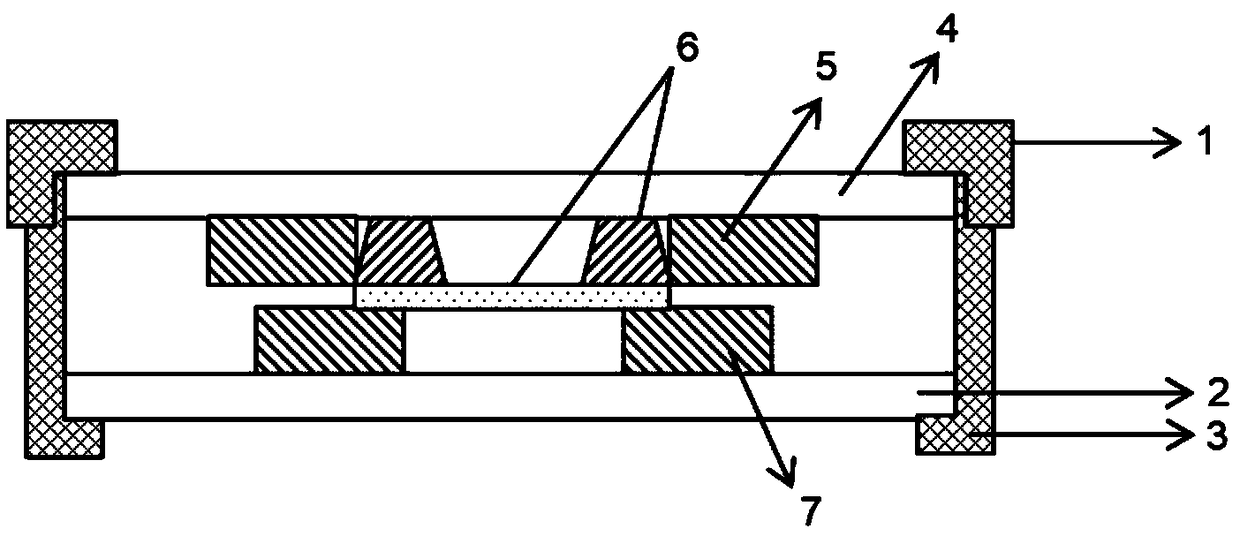 Sample placing system and method for acquiring single-particle fluorescence-microstructure