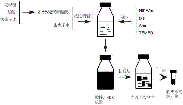 Injectable and degradable thermo-sensitive hydrogel and preparation method thereof