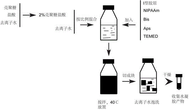 Injectable and degradable thermo-sensitive hydrogel and preparation method thereof