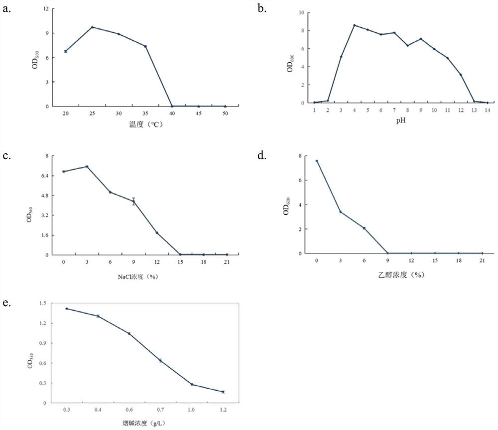 Strain of saccharomycopsis fibuligera for producing 3-methylthio propanol as well as culture method and application of strain of saccharomycopsis fibuligera