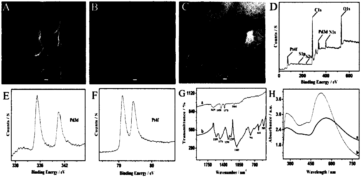 Preparation method of electrochemical DNA biosensor for detection of rs1801177