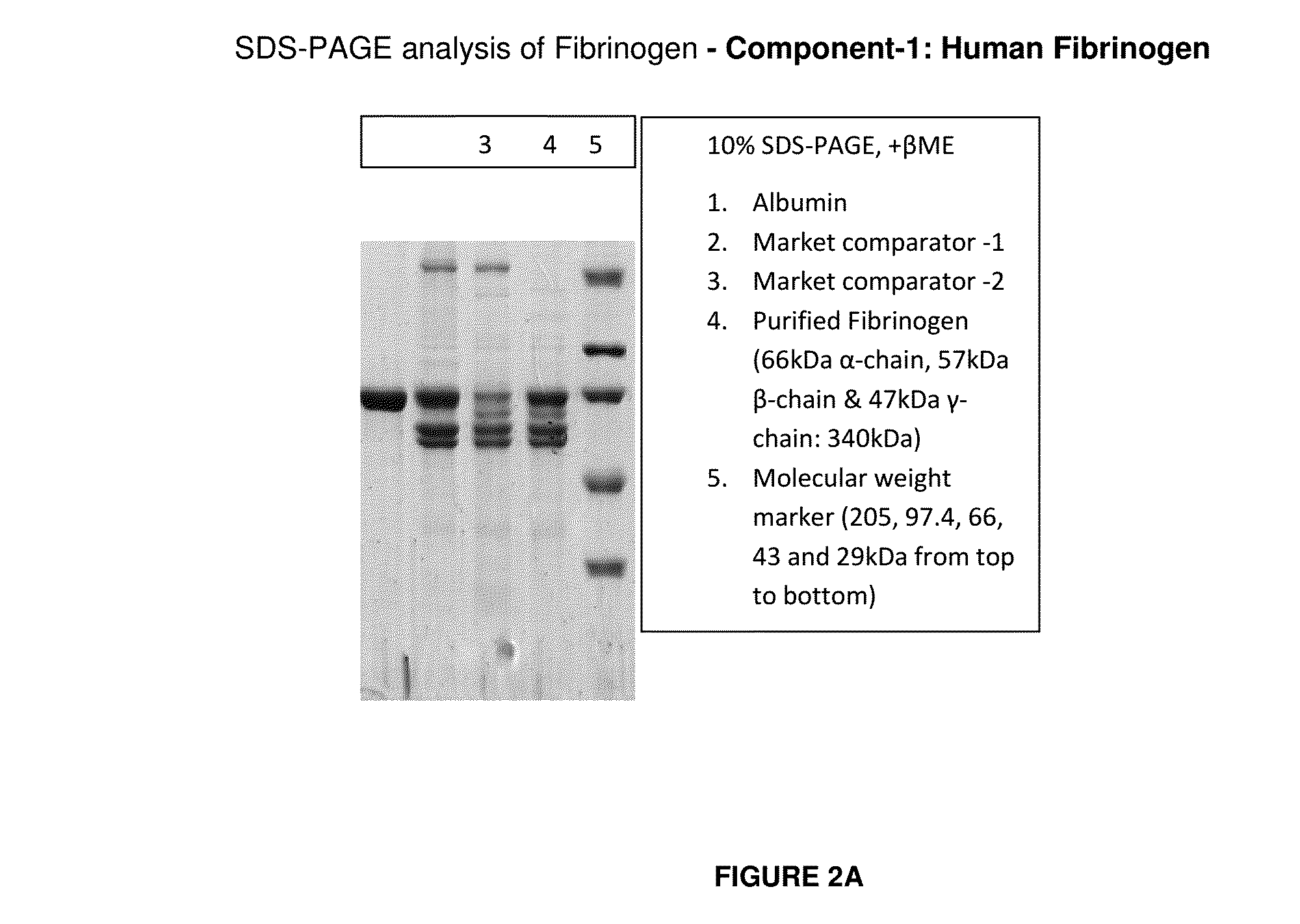 Process for producing high purity fibrinogen and thrombin for fibrin sealant